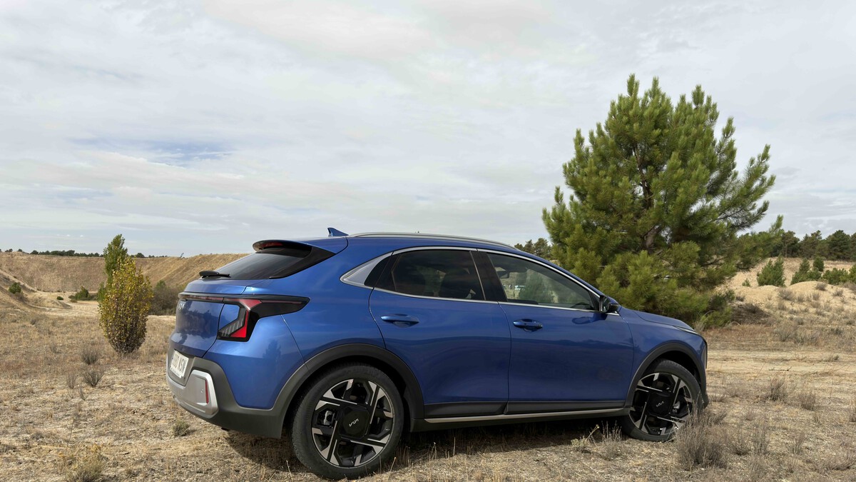 Lexus Partners article image