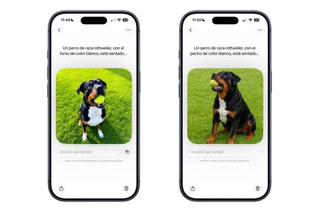 Ejemplos De Image Playground