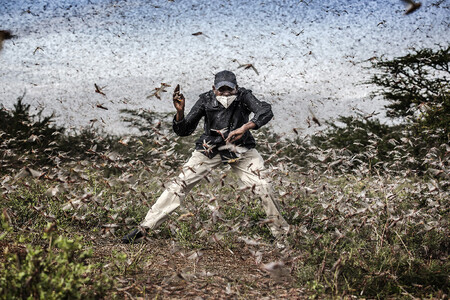 'A Year in Photos': un documental que profundiza sobre las imágenes ganadoras de los Sony World Photography Awards