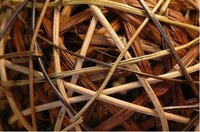 Los mimbres necesarios