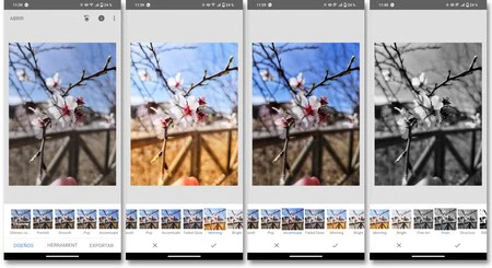 スナップシードフィルター