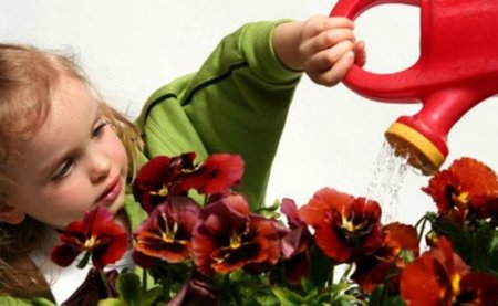 científica botánica