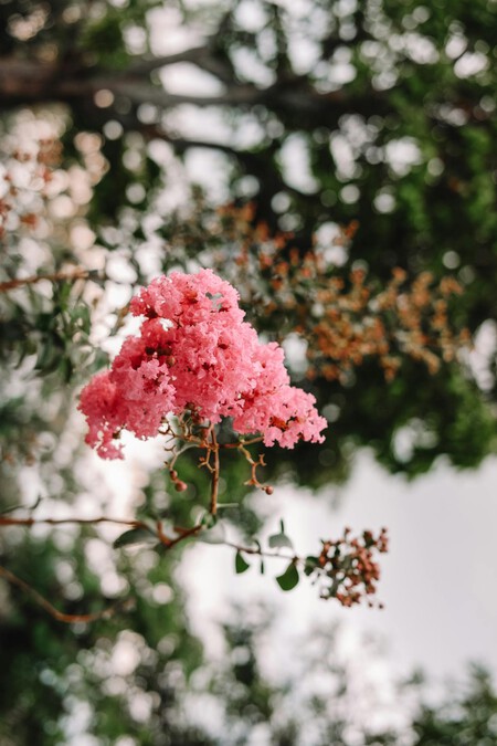 Pexels Yayuk88 13670916