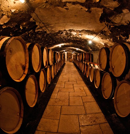 Eric Cook D9wh Vlxica Unsplash