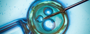 Los embriones autorreparan sus células alteradas desde su segundo día de vida y pueden convertirse en bebés sanos