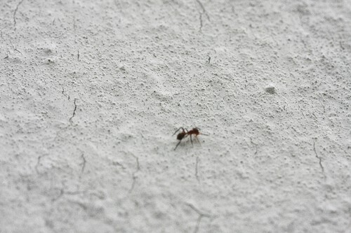 Thomas Kinto Nvybumwhwoc Unsplash
