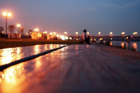 Compañeros de ruta: experiencias para todos los sentidos