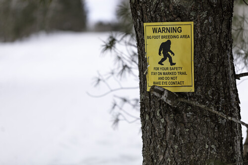 Bigfoot California Bill