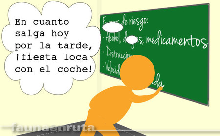 fauna en ruta - convicciones