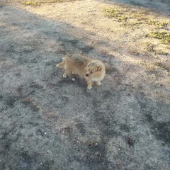 Foto 8 de 20 de la galería wiko-u-feel-prime-2 en Xataka Android