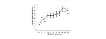 frecuencia-cardiaca-embarazo
