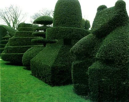 Poda ornamental en exterior