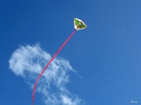 ¿Emprendedores que dan beneficios a los siete meses?