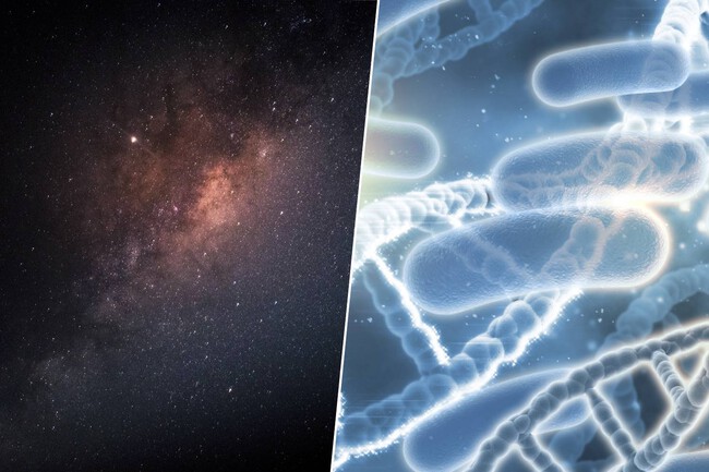 Vida Extraterrestre Microbiana