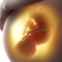 Nacer en la semana 37 no es lo mismo que nacer en la 42