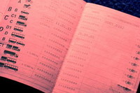 En Julio de 2009 los buenos conductores tendrán dos puntos extra en su carné