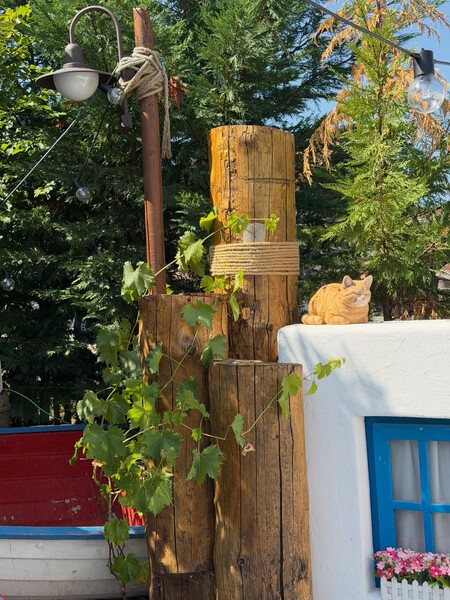 Impressions From A Quiet Sunday Afternoon In Summer 1