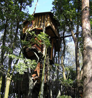 Hotel Baumhaus: dormir en la copa de un árbol