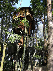 Hotel Baumhaus: dormir en la copa de un árbol