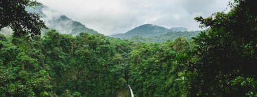 Perdió tres cuartas partes de su bosque en 50 años. Hoy Costa Rica es el primer país tropical en revertir la deforestación