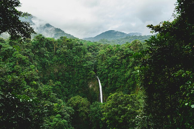 Etienne Delorieux E5sp18o40ya Unsplash