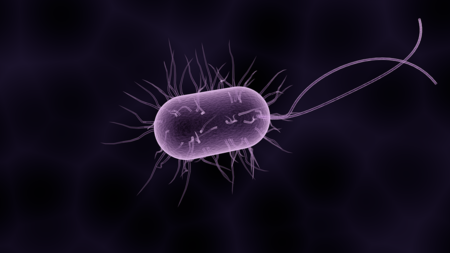 La cuarta parte de los microbios de la Tierra nunca se han cultivado y no sabemos qué hacen