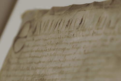 Harvard's cheap copy of the Magna Carta is actually a priceless treasure