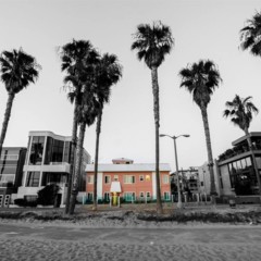 Foto 36 de 39 de la galería venice-on-the-beach en Trendencias Lifestyle