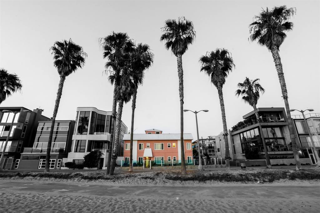 Foto de Venice on the Beach (36/39)