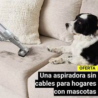 Si tienes mascotas en casa, con esta aspiradora Shark te evitarás tener que desenredar el cepillo de pelos