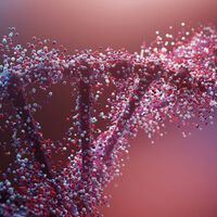 A anomalia biológica que chocou a ciência: o DNA descoberto por acaso que anula as leis mais absolutas da vida