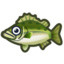 Bass