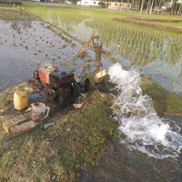 Alguien robó 56 millones de litros de agua durante los últimos 18 meses en Murcia. Solo es la punta del iceberg