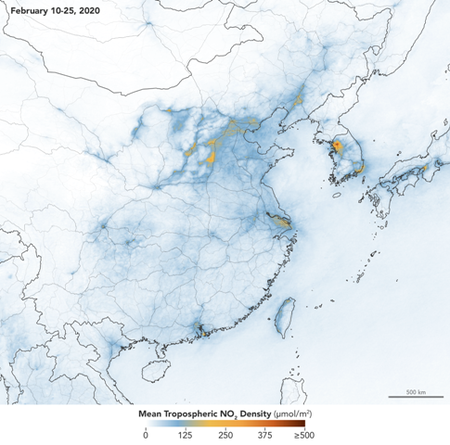 China Trop 2020056 Lrg