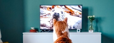 Antes de conectar la Smart TV por cable Ethernet, conviene mirar un detalle: el WiFi puede ser bastante más rápido