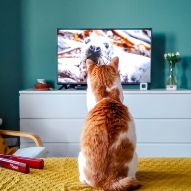 Antes de conectar la Smart TV por cable Ethernet, conviene mirar un detalle: el WiFi puede ser bastante más rápido