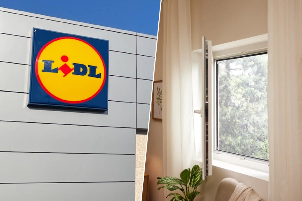 Hoy en Lidl esta mosquitera extensible que resiste al sol y se ajusta a todo tipo de ventanas