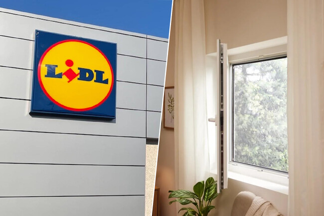 Mosquitera Extensible Lidl