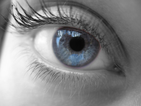 Alimenta la salud de tus ojos