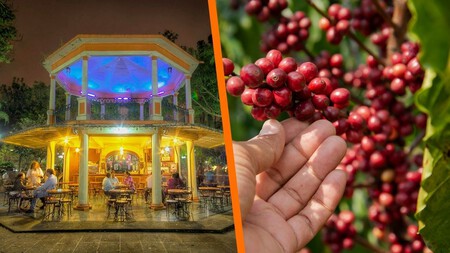 Cómo llegar y qué visitar en Coatepec, el Pueblo Mágico de Veracruz conocido como la ‘Capital del Café