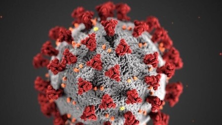 Estos son los resultados de un análisis de 43 genomas de 3 cepas de SARS-CoV-2