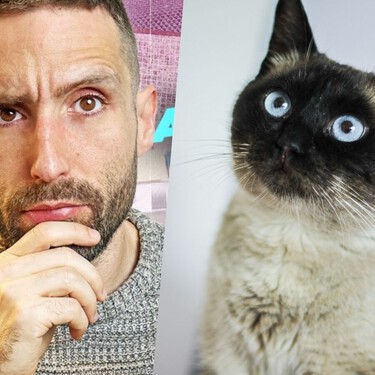 Carlos Gutiérrez, veterinario, sobre los gatos siameses: “Tienden a desarrollar comportamientos obsesivos si se estresan” 