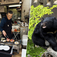 Japón lleva meses mirando a sus osos con miedo por una oleada de ataques récord. Ahora los mira con algo más: gula