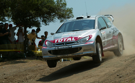Peugeot 206 WRC Tierra
