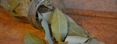 El truco casero definitivo para fregar el suelo y dejarlo desinfectado y con buen olor: unas hojas de laurel