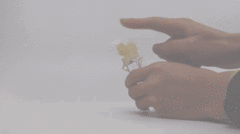 Foto 4 de 6 de la galería cillia en Xataka