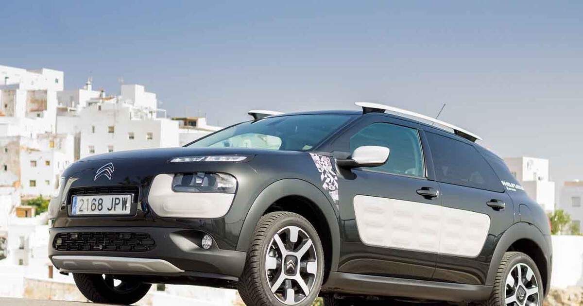 Citron C4 Cactus Rip Curl