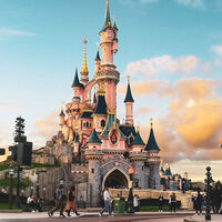 Hay personas que además de comida llevan otra cosa a los parques de Disney: las cenizas de sus difuntos para esparcirlas