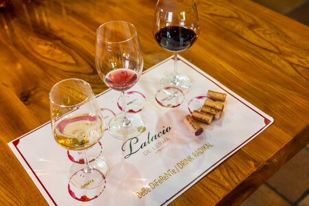 Enoturismo Palacio De Lerma