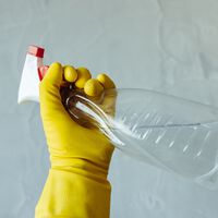 Dicen los jardineros que rociar vinagre en las puertas ahuyenta a las hormigas. Esto es lo que opina la ciencia